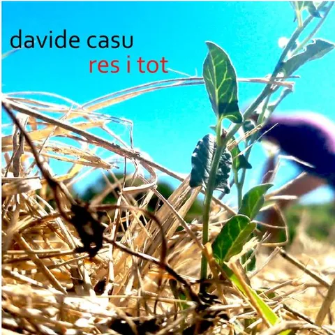Davide Casu
